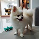 (주)페슬러 이미지