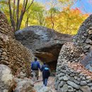 하동 진입 왕벚나무길 | 하동 삼성궁 다녀온 후기｜아이와 가볼만한곳 산책 코스