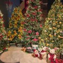 옥계신당로5길 이미지