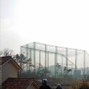 내리초등학교 이미지