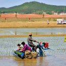 원화농장 이미지