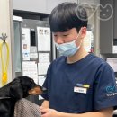 동계동물병원 이미지