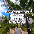 모리셔스 신혼여행 ep7. 모리셔스공항, 까노니에비치콤버 견적 (ft. 까노니에 뷔페)