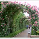 묵동-007 이미지