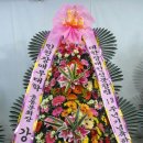 일등인력개발직업소개소 이미지