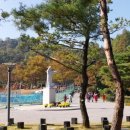남양조경 이미지