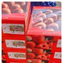 일미농원 이미지