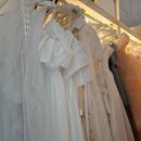 종로-신교-종로-신-202 | [공지] 서울 야외 웨딩 스냅 모스앤코튼 카메라에 담다