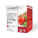 토마토플러스 이미지