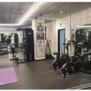 머슬마인드 이미지