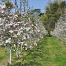 마교농장 이미지