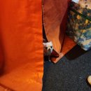 서문서로55번길 이미지