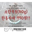 펫밀리레스토랑 이미지