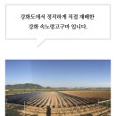 주빈농장 | 겨울간식 군고구마 만들기 좋은 강화 속노랑고구마 추천