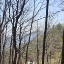 죽령공중화장실 이미지