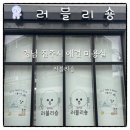 러블리숑 이미지