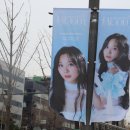 장충인(J C INN) | 2024.12.01 볼빨간사춘기 Bloom 콘서트 막콘 후기 - 장충체육관
