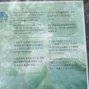 씨스페이스 아야나 호텔점 | 발리) 발리공항 숙소 추천, 발리 신혼여행 숙소 추천, 아야나리조트 상세 정보, 아야나 부대시설 총정리