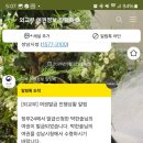 성남시청 (서관) 이미지