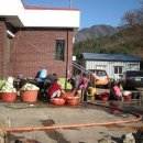 잔비어스 이미지