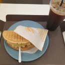 와플대학동탄목동캠퍼스