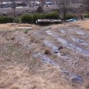 강남공인중개사사무소 이미지