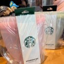 그린푸드 | 스타벅스 실리콘 푸드백 후기 (그린, 핑크)