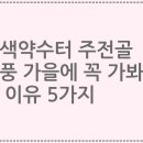 잣나무약수터 | 오색약수터 주전골 단풍 가을에 꼭 가봐야 할 이유 5가지