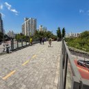 경춘선솔밭길 이미지