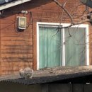 영천중앙초등학교화남분교장 이미지