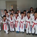 경희대파란태권도체육관 이미지