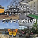 공임나라 이시아폴리스점 | 대구 동구 아이와 무료전시 실내생태체험 추천 봉무공원 나비생태원 정보