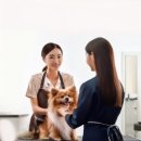 미용사 이미지