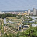 배고개(이치) 네이버블로그