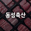 동성육류