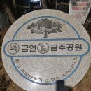 보람어린이공원 이미지