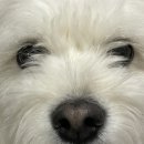 가야대 오거리 | 일요일을 도려내고 싶어