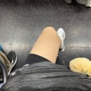 17박18일 뉴욕여행 ::: (15)여행일기_11일차 - 센트럴파크 자전거대여(Unlimited biking), LIRR예약방법...