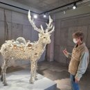 아라리오뮤지엄 이미지