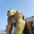 경주 고릴라로 유명한 &#39;더킹 카페&#39; 이용후기