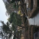 검한1길 이미지