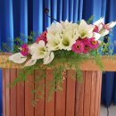 윤경화농장 이미지