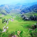 베트남다랭이논 황수피 풍경 이미지