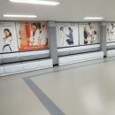 킴스태권도장 이미지