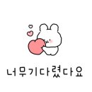 동물의료센터24인치 이미지