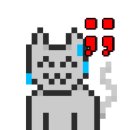 씨앤케이 이미지