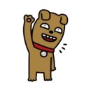 에피소드 동물병원 이미지