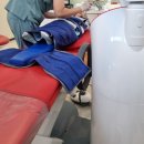 대치동 어린이치과 서울토토치과의원: 4세 아이 어금니 충치 치료 후기