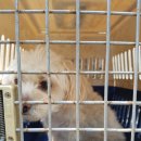 평택3로 이미지