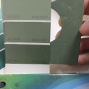 그린피어싱배곧 | 시흥 배곧신도시 피어싱 샵 내부 페인트 시공 후기｜브리스틀페인트 상가 인테리어 도장 작업
